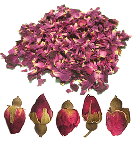 Rose petals and dried rose flower buds