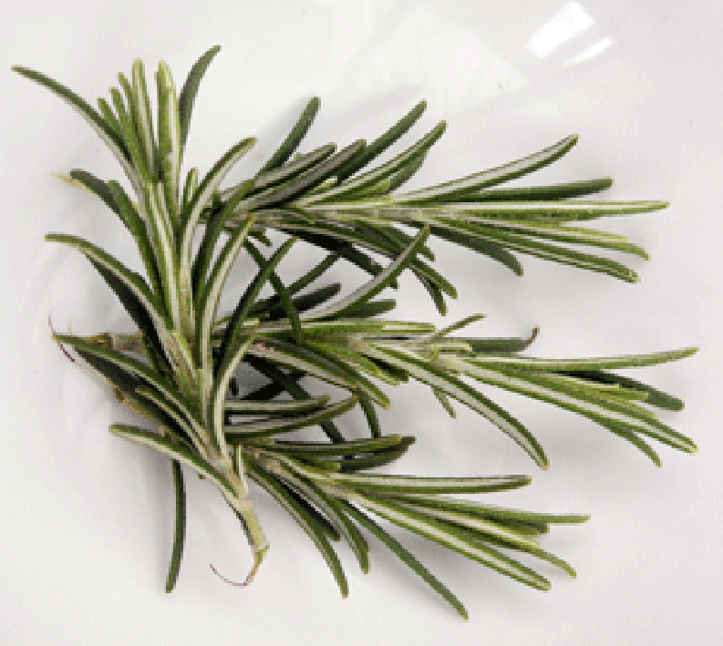 Sprigs of rosemary