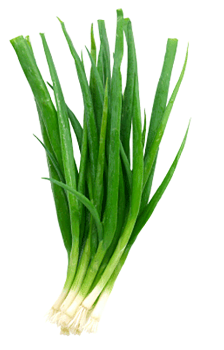 Bunch of spring onions