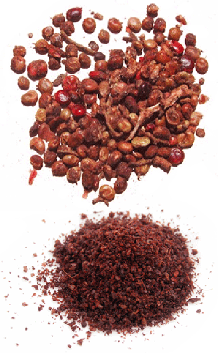 Sumac berries and ground berries