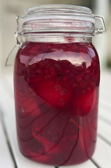 Pears preserved in lingonberry syrup in a jar
