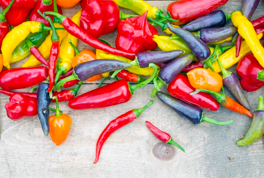 collection of different chillies on a table