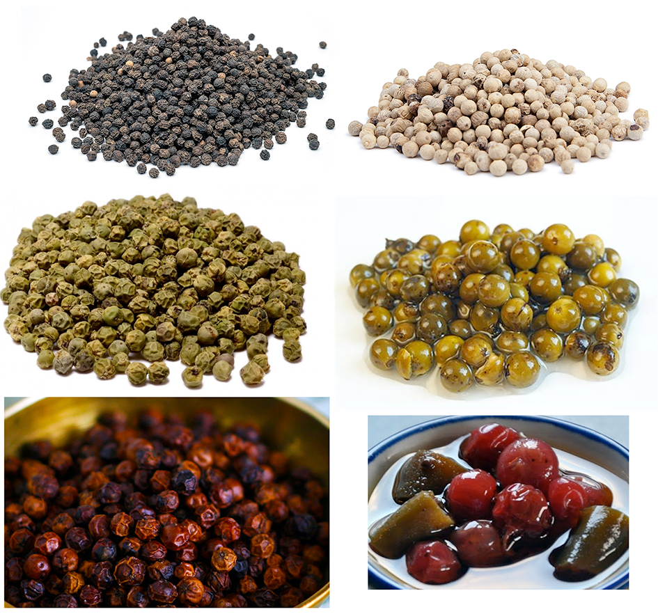 Different coloured peppercorns from black pepper