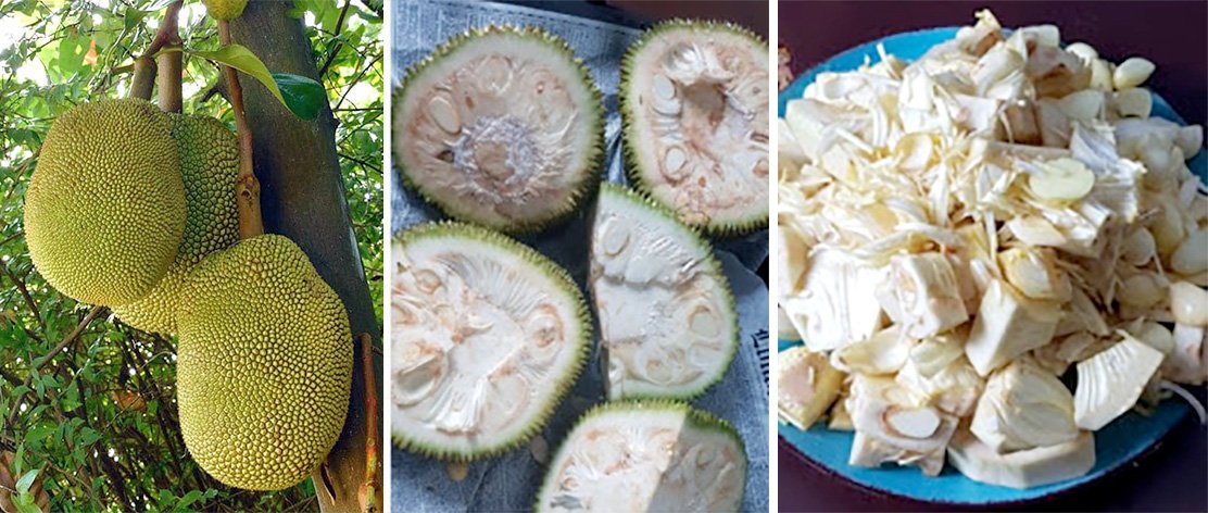 Preparing jackfruit.