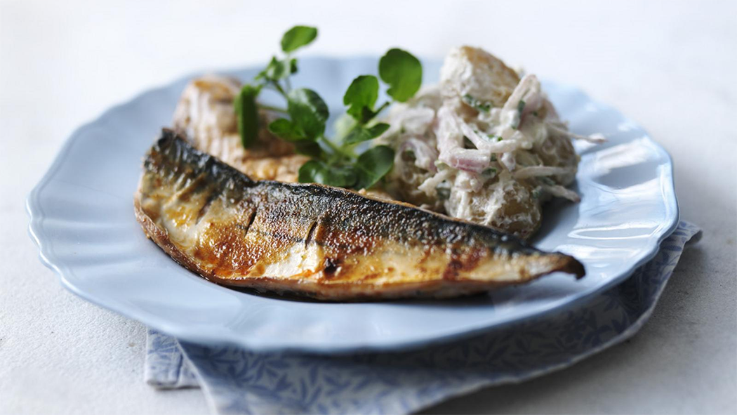 roasted spiced mackerel on a blue plate with potato salad and a sprig of watercress