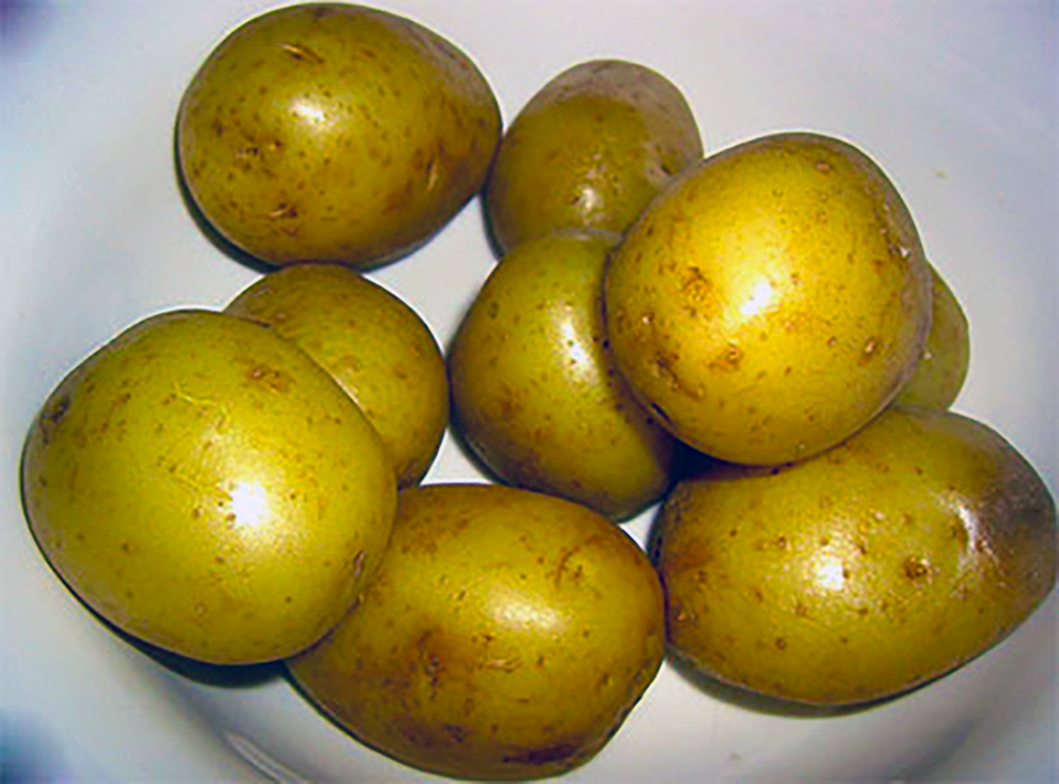 nine potatoes boiled in their skins in a bowl
