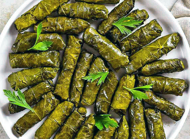 stuffed vine leaf sarma arranged on a plate